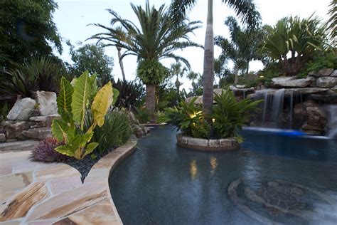 Landscaping Swimming Pool Tropical Plants Sarasota Bradenton Florida 2