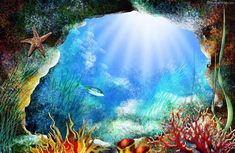 Hawaii Underwater Wallpapers Top Free Hawaii Underwater Backgrounds