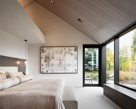 contemporary bedroom design ideas remodel pictures houzz