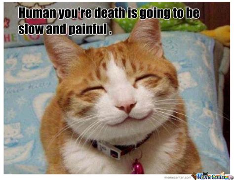 Smiling Cat By Williams Meme Center