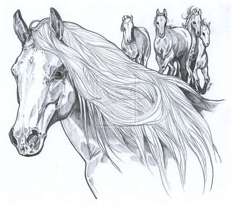 Wild Mustangs Horse Coloring Pages Horse Coloring Horses