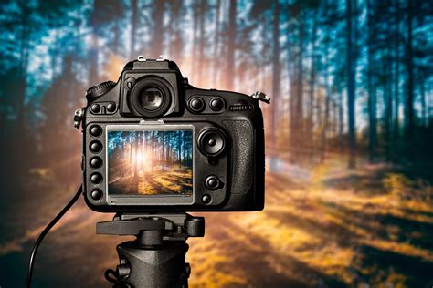 Best Latest Dslr Camera Recommendations For All Photograph Level