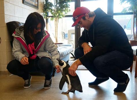 David savard is a canadian professional ice hockey defenceman currently playing for the tampa bay lightning of the national hockey league. Hockey Players With Pets (And Other Animals) | Columbus ...