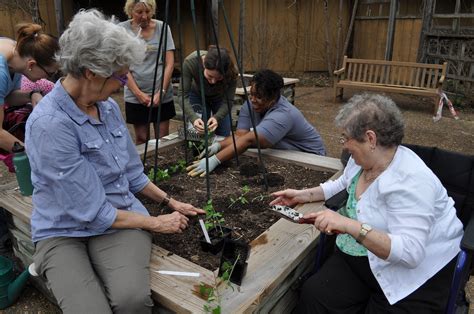 Horticultural Therapy At Ncbg North Carolina Botanical Garden