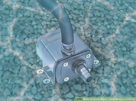 Maybe you would like to learn more about one of these? How to Keep Algae out of Water Fountains: 10 Steps (with ...