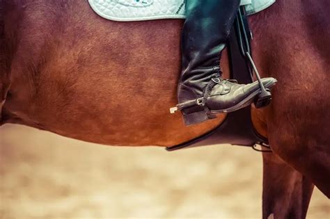 What Shoes To Wear Horseback Riding Beginners Guide