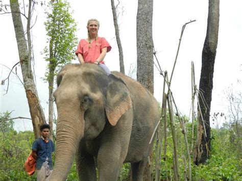 sexy woman riding bareback barefoot on an elephant in the jungle sexy frau reitet ohne sattel