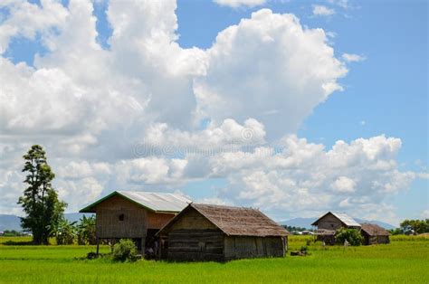 Typical Rural Landscape In Myanmar With Traditional Bamboo Huts And