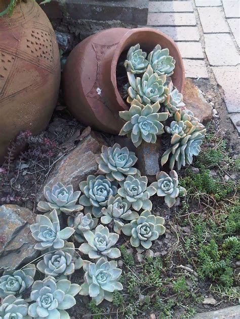 15 Spilled Flower Pots That Turn Your Flowers Into Streams Of Paint