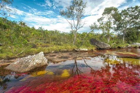 Check spelling or type a new query. Best Time to See Caño Cristales River in Colombia 2020 ...