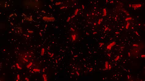 Red Abstract Animated Backgrounds Animation Video Motion Graphics