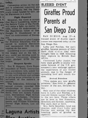 Article clipped from The Los Angeles Times - Newspapers.com™