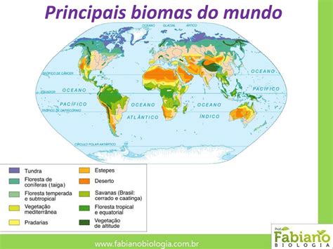 Quais Sao Os Biomas Mundiais