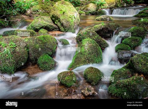 Waterfalls And Cascades In The Ysperklamm In Yspertal Lower Austria