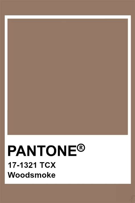 Pantone Woodsmoke Interieur Kleuren Kleurenpalet Pantone