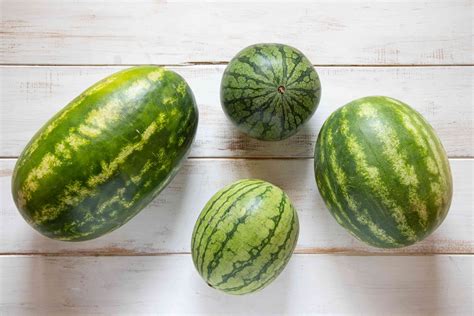 Your Guide To Watermelons How To Pick Cut And Freeze Them