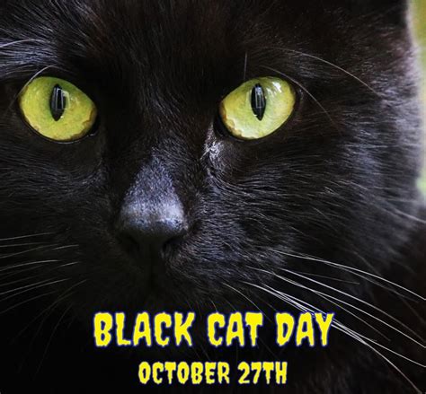National Black Cat Day Black Cat Day Cat Day National Black Cat Day
