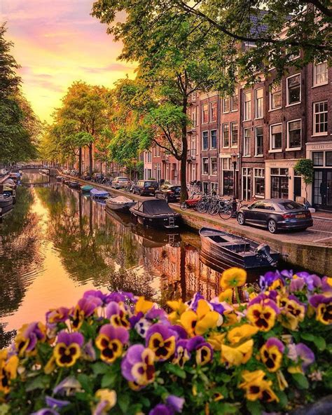 📍amsterdam netherlands 🇳🇱 💡interesting facts cool places to visit beautiful places places