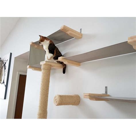 Maybe you would like to learn more about one of these? CatastrophiCreations Thunderdome - Wall Mounted Cat ...