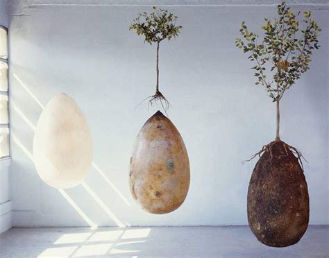 Burial Pods Turn Into A Tree When You Die The Luxury Spot Burial