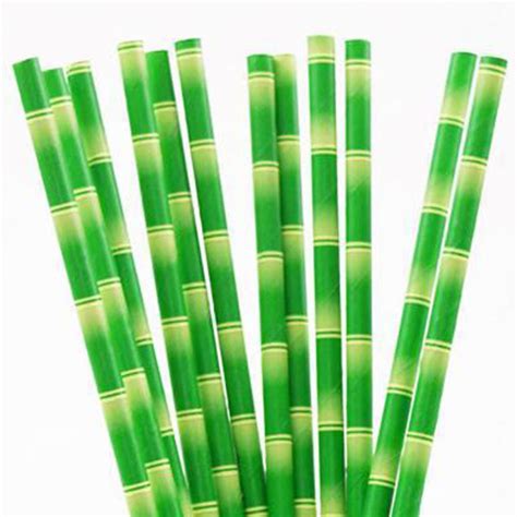 Sippy Bamboo Print Paper Straws At Rs 065piece In Delhi Id 20905981055