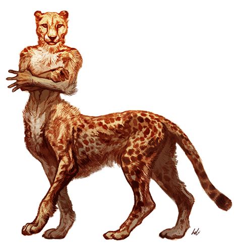 Cheetah Taur By Ononheli On Deviantart