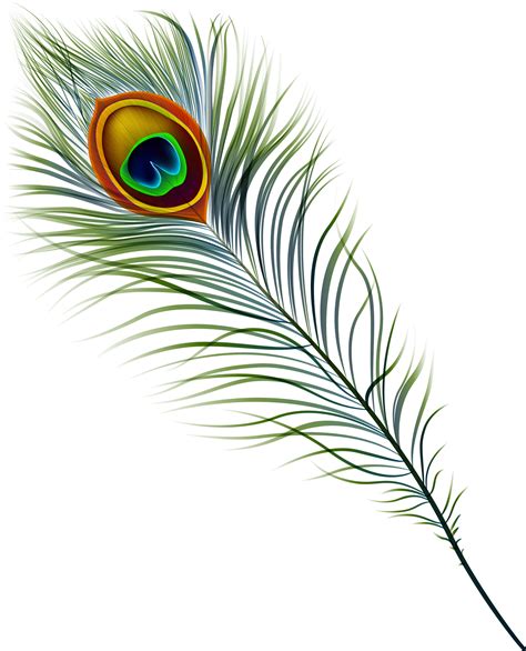 Antique Mall In Marietta,georgia - Peacock Feather Clipart - Png png image