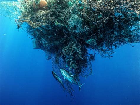 Dont Call It A Garbage Patch The Truth About Cleaning Up Ocean