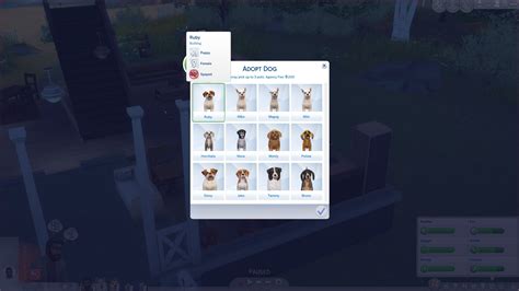 Sims 4 Pets Expansion Pack Xbox One Mahafetish
