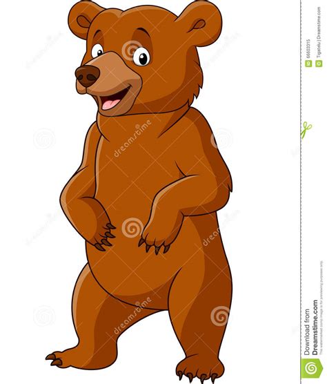 Cartoon Funny Bear Standing Stock Vector Illustration Of