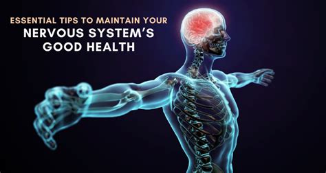 Essential Tips To Maintain Your Nervous Systems Good Health