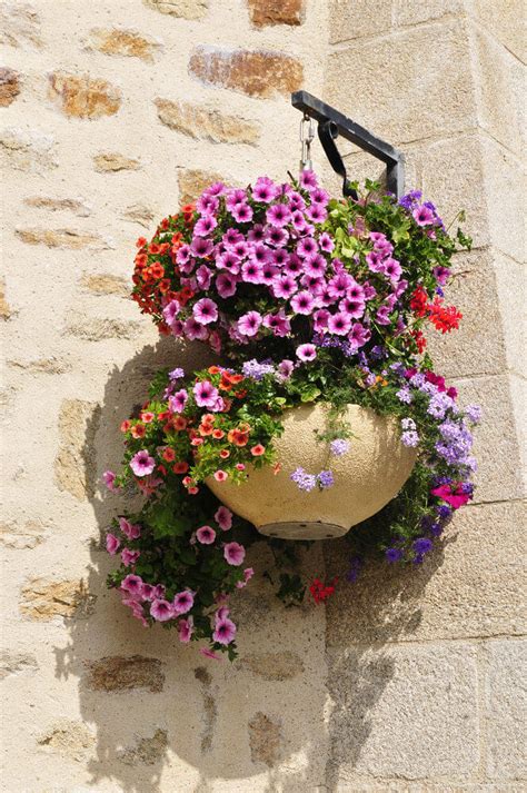 We recommend this kind, with holes on the sides, in whatever gallon size fits your space. 70 Hanging Flower Planter Ideas (PHOTOS and TOP 10) - Home ...
