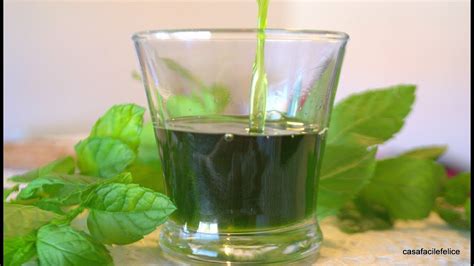 Check spelling or type a new query. Liquore alla menta piperita (rosolio) - YouTube