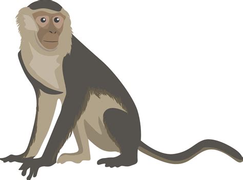 This Free Icons Png Design Of Capuchin Monkey Clip Art Library