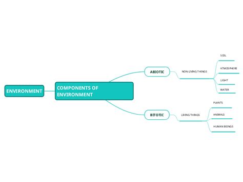 Components Of Environment Mind Map