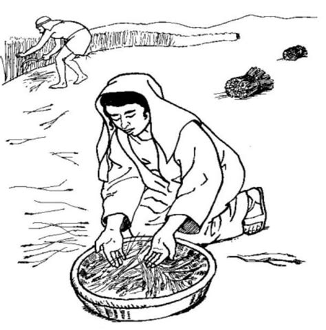 Pin on Ruth Bible Lesson