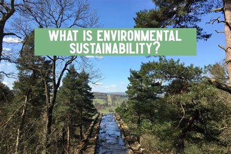 What Is Environmental Sustainability And Why Is It Important