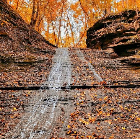 Best Places Near Nashville To Enjoy Fall Foliage