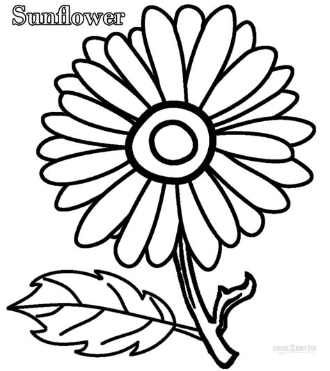 Have fun with your kids getting the most out of our fantastic sunflower coloring pages! Sunflower coloring pages to download and print for free