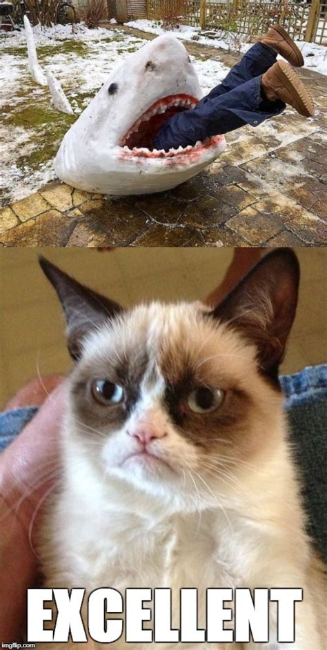 Frozen Grumpy Cat Meme