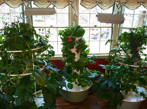 Indoor Gardening During A Winter Snowstorm Click Here For A Fun