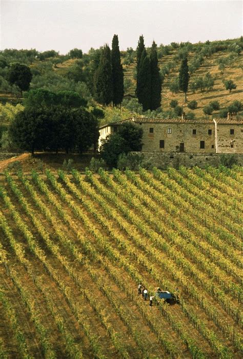 Wine Tasting At Tuscanys Best Wineries Condé Nast Traveler Wine