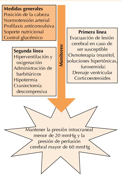 Propuesta De Tratamiento Del Edema Cerebral Download Scientific Diagram