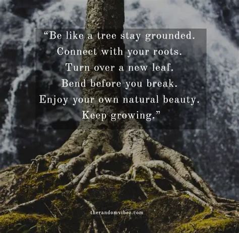 60 Roots Quotes And Never Forget Your Roots Sayings Viralhub24
