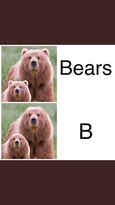 Bears With No Ears With Images