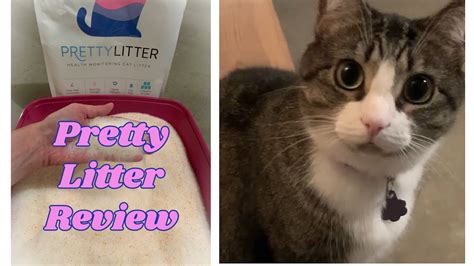 Pretty Litter Review Is Pretty Litter Worth It Youtube