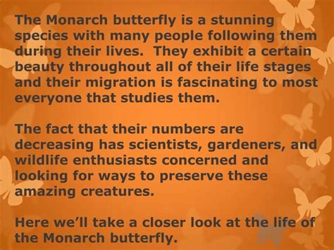 biology 101 power point presentation on monarch butterflies