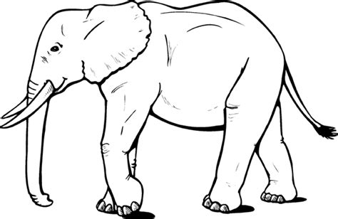 Desenho De Elefante Africano Passeando Para Colorir Tudodesenhos