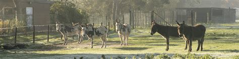 Please note that the information shared here is exclusively for participants of project alles gurgelt (before: Zoet geregeld, bitter weinig - De wereld volgens Pellong