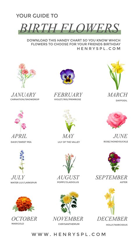 Your Guide To Birth Month Flowers Birth Flower Tattoos Birth Month